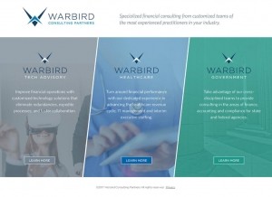 WARBIRD CONSULTING PARTNERS: B2B Website Design for Consulti